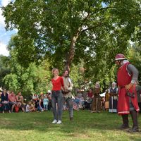 Bild vergr&ouml;&szlig;ern: Gro&szlig;es Mittelalterspektakel beim Alzenauer Stadtfest 2019 (12)