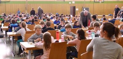 Bild vergr&ouml;&szlig;ern: K&ouml;nigsspringer Alzenau: Auf zum Schach - das Jugendtraining startet wieder