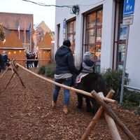 Bild vergr&ouml;&szlig;ern: Der erste Advent auf dem Alzenauer Weihnachtsmarkt 2019 (1)