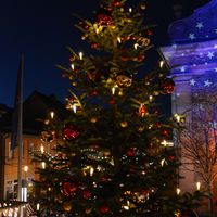 Bild vergr&ouml;&szlig;ern: Weihnachtszauber auf dem Alzenauer Weihnachtsmarkt 2019 (12)