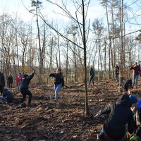 Bild vergr&ouml;&szlig;ern: &raquo;Plant for the Planet&laquo; in Alzenau (8)