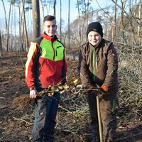Bild vergr&ouml;&szlig;ern: &raquo;Plant for the Planet&laquo; in Alzenau (7)