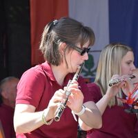 Bild vergr&ouml;&szlig;ern: Blasmusikfestival in Alzenau (6)