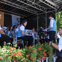 Bild vergr&ouml;&szlig;ern: Blasmusikfestival in Alzenau (10)