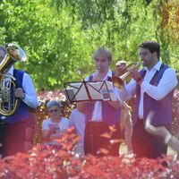 Bild vergr&ouml;&szlig;ern: Blasmusikfestival in Alzenau (18)