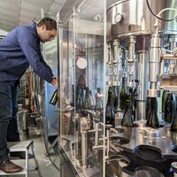 Bild vergr&ouml;&szlig;ern: Abf&uuml;llung des Rieslings der Stadt Alzenau (2)