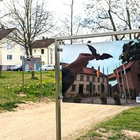 Bild vergr&ouml;&szlig;ern: 03-2103 Er&ouml;ffnung Ausstellung Hauckwald (75)