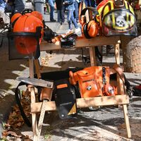 Bild vergr&ouml;&szlig;ern: 09-2909 Brennholztag (36)