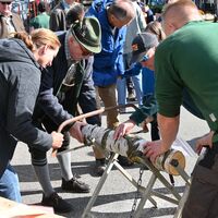 Bild vergr&ouml;&szlig;ern: 09-2909 Brennholztag (43)