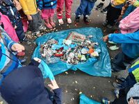 Bild vergr&ouml;&szlig;ern: M&uuml;ll im Stadtgebiet_1