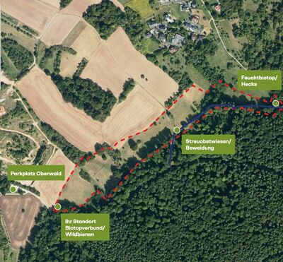 Bild vergr��ern: Lebensraum Speichenbachwiesen
