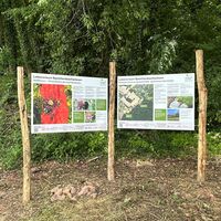Bild vergr&ouml;&szlig;ern: Er&ouml;ffnung Biotop-Rundweg Speichenbach  &copy; Stadt Alzenau (4)