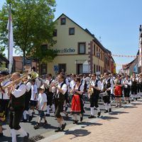 Bild vergr&ouml;&szlig;ern: Der gro&szlig;e Festzug durch die Alzenauer Innenstadt