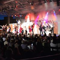 Bild vergr&ouml;&szlig;ern: Premiere des Musical-Highlights 