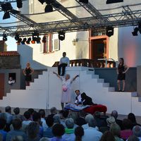 Bild vergr&ouml;&szlig;ern: Premiere des Musical-Highlights 