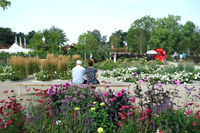 Bild vergr&ouml;&szlig;ern: Farbenf&uuml;lle im Generationenpark