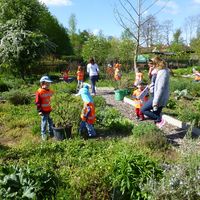 Bild vergr&ouml;&szlig;ern: Kinder pflanzen Blumen beim Obst- und Gartenbauverein Alzenau