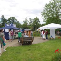 Bild vergr&ouml;&szlig;ern: Sparkassen-Familienfest/Familientag der Stadt Alzenau am 26. Juni 2016 