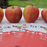 Bild vergr&ouml;&szlig;ern: Sparkassen-Familienfest/Familientag der Stadt Alzenau