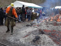 Bild vergr&ouml;&szlig;ern: K&ouml;hlerfeuer des TV Wasserlos
