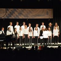 Bild vergr&ouml;&szlig;ern: Der Jugendchor VocalEase Michelbach ist einer der wenigen Jugendch&ouml;re, die es in der Region gibt.