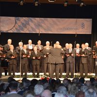Bild vergr&ouml;&szlig;ern: M&auml;nnerchor Harmonia Alzenau