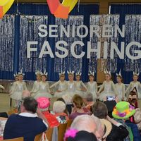Bild vergr&ouml;&szlig;ern: Seniorenfasching der Stadt Alzenau in der Hahnenkammhalle Wasserlos (16)