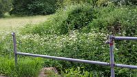 Bild vergr&ouml;&szlig;ern: Vandalismus am Alzenauer Planetenweg
