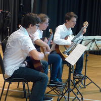 Bild vergr&ouml;&szlig;ern: Gitarrentrio