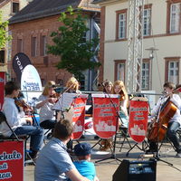Bild vergr&ouml;&szlig;ern: x140504-L1080274