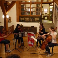 Bild vergr&ouml;&szlig;ern: Streichquartett
