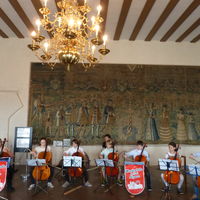Bild vergr&ouml;&szlig;ern: Celleensemble