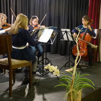 Bild vergr&ouml;&szlig;ern: Streichquartett