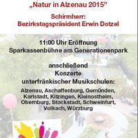 Informationsbrosch&uuml;re Musikschulestival