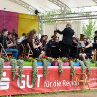 Bild vergr&ouml;&szlig;ern: Symphonisches Blasorchester Aschaffenburg 