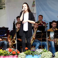 Bild vergr&ouml;&szlig;ern: Bigband 