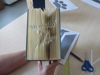 Bild vergr&ouml;&szlig;ern: Buchkunst f&uuml;r Fortgeschrittene - Juni 2019